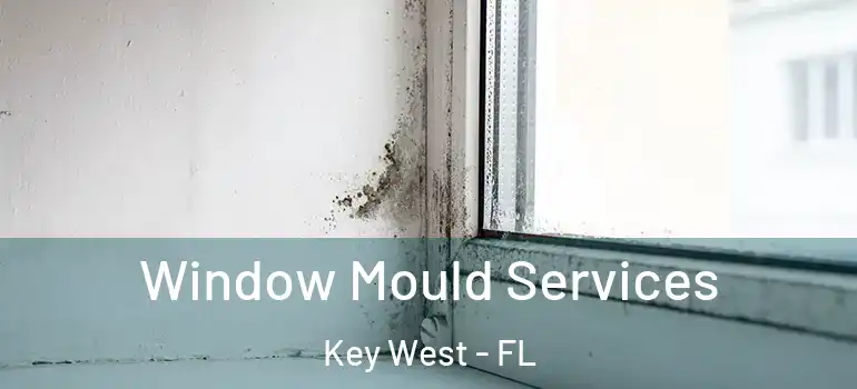  Window Mould Services Key West - FL